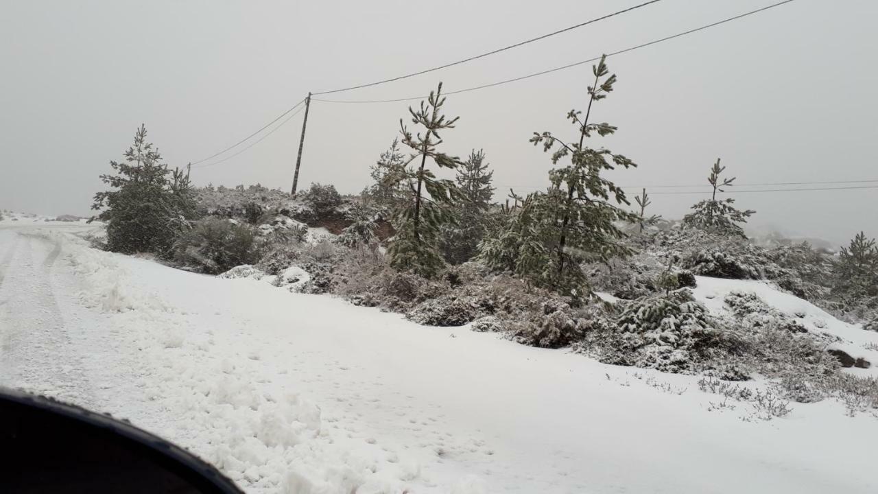 Holiday home Fisgas Bilho